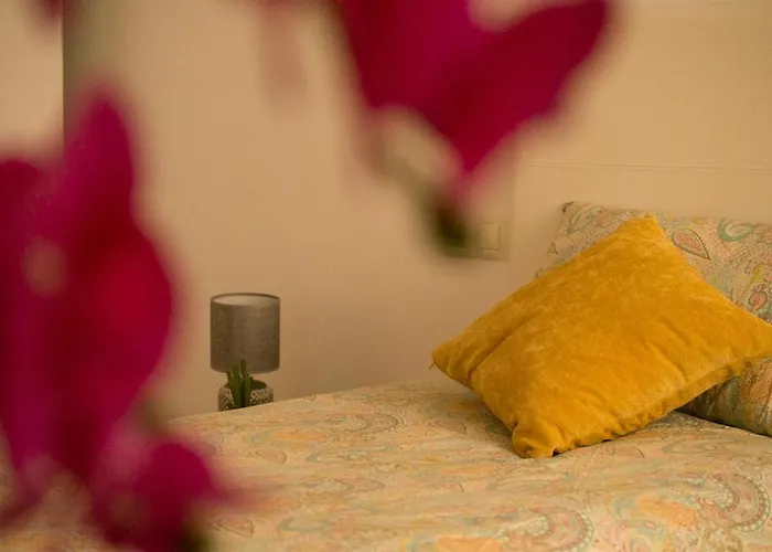 Daire Patos - Garden